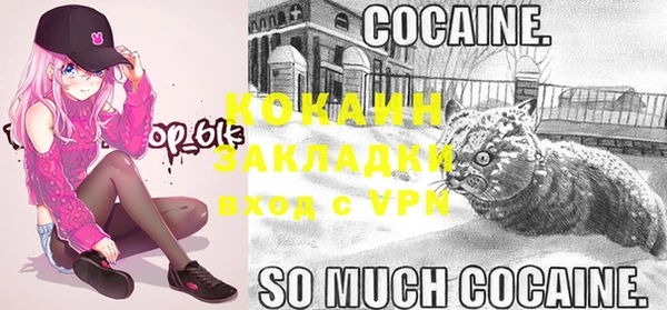 меф Новодвинск