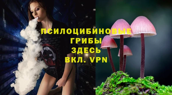 прущая мука Новозыбков